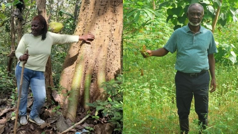 Ghana’s Entrepreneurs Forge the Forest Economy
